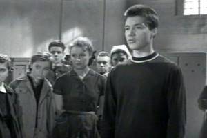 Дебютом в кино для Жарикова стала драма Юлия Райзмана «А если это любовь?» 1961 года.