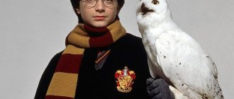 The first film based on JK Rowling's books was released in 2001. Photo: EAST NEWS