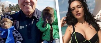 Sergei Zhukov, Olga Seryabkina and Joseph Prigozhin on Instagram: the most interesting pictures of the week