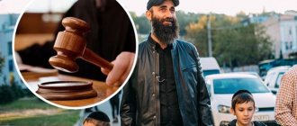 They want to deprive a Ukrainian rock star of parental rights: first details