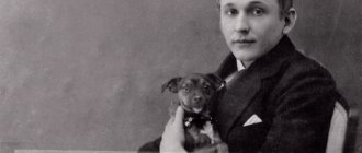 вертинский александр николаевич