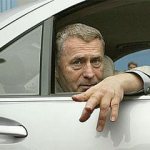 Владимир Жириновский